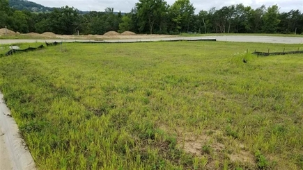 Photo 1 of Lot 58 South Pointe Estate